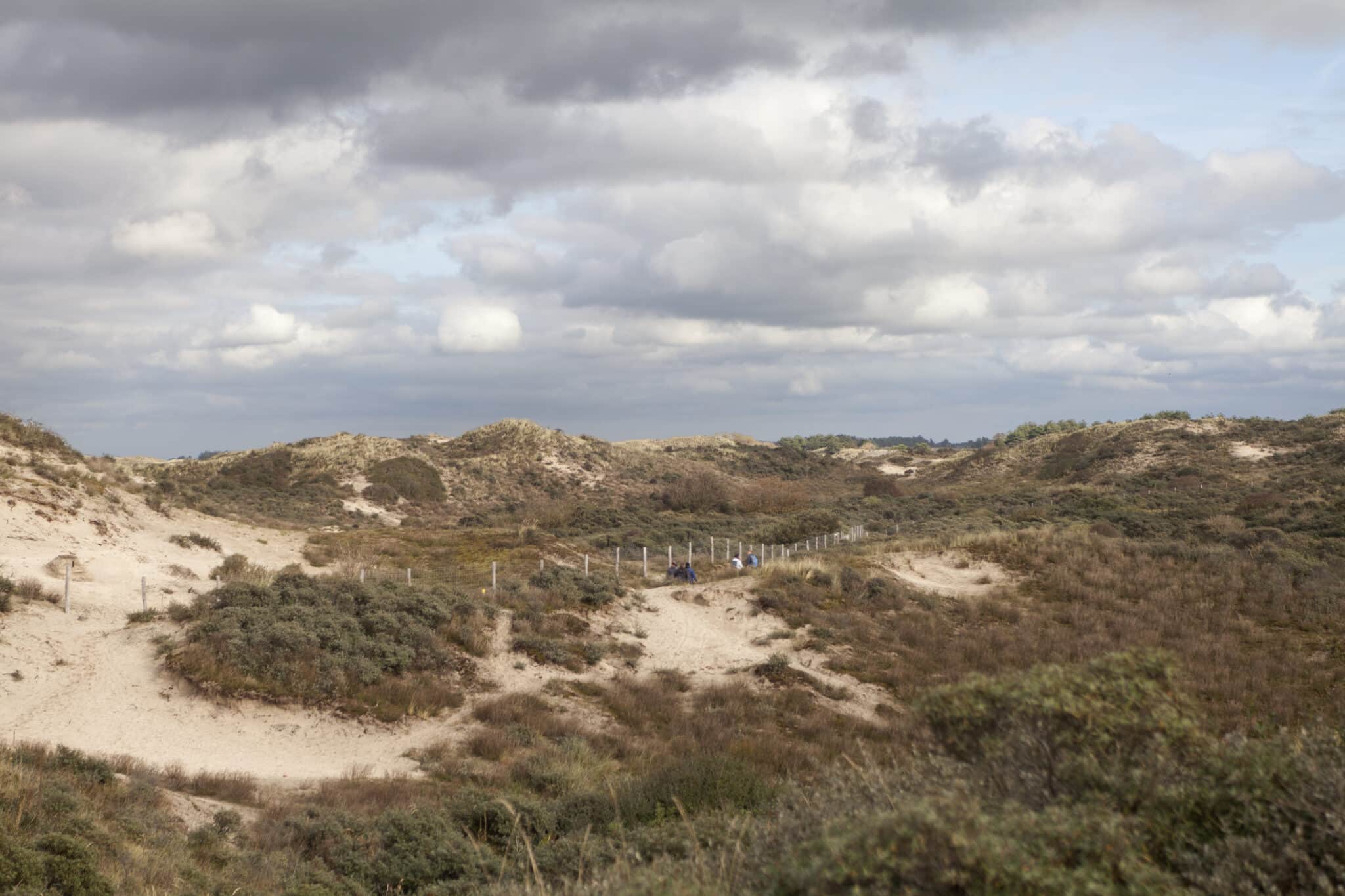 Noordduinen by Zandvoort
