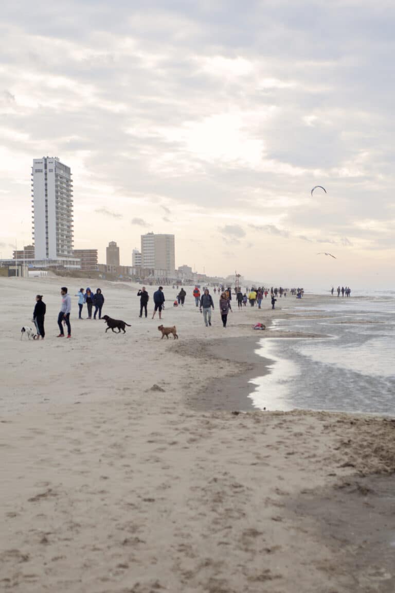 Beach walk Zandvoort